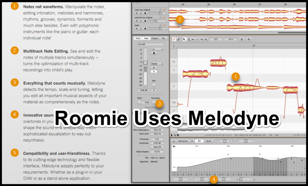 Melodyne (What music software does Roomie use?). Would you like to know more about Melodyne