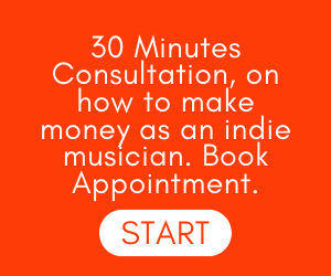 How to make money as an indie musician: 30 Minutes Consultation: Book Appointment